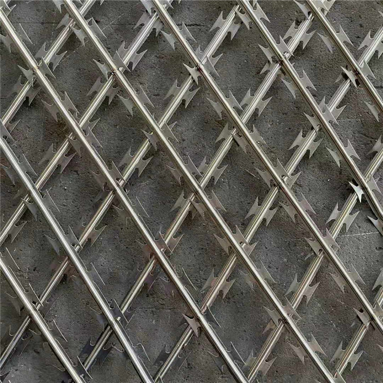 監(jiān)獄專(zhuān)用隔離網(wǎng)廠家直銷(xiāo)圖片4